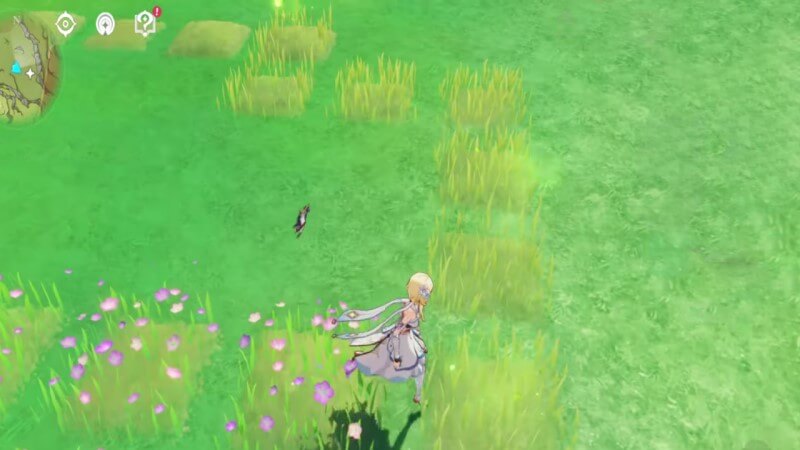 Genshin Impact Sumeru Square Grass Puzzles