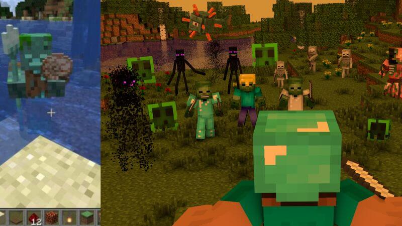 Minecraft 1.19: How to get Nautilus Shell