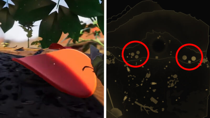 Finding Flower Petals in Grounded (Map Location)