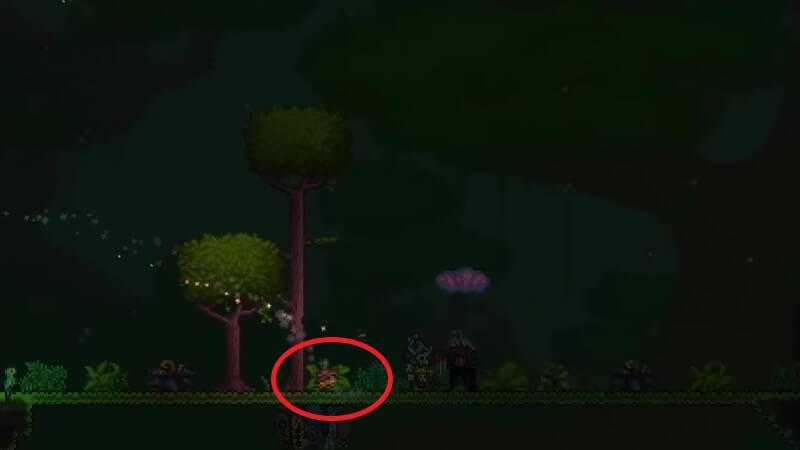 Terraria Mystic Frogs Location Update