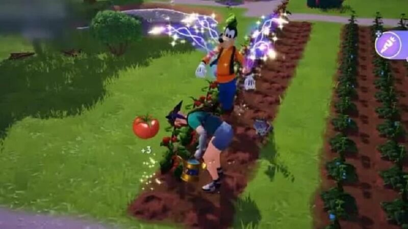 where to get tomato seeds in disney dreamlight valley