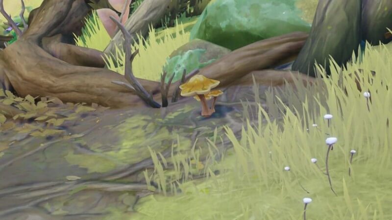 how to get shriveled starshroom in Genshin Impact