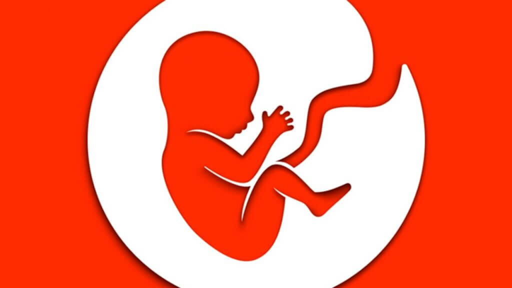 How to Increase Smarts in BitLife BitLife: How to Increase Smarts Stat