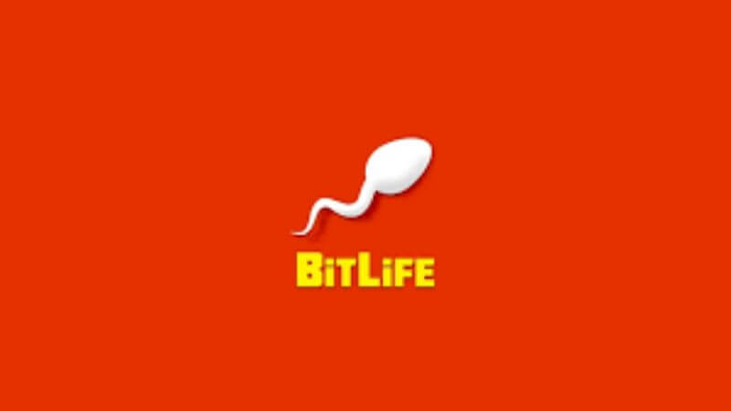 BitLife: How to Become a Marriage Counselor
