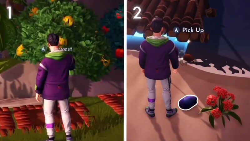 Collecting Lemons and Oysters to Make an Oyster Platter in Disney Dreamlight Valley