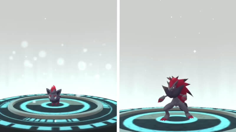 Evolving Zorua into Zoroark in Pokémon GO