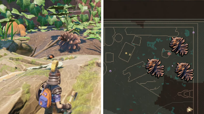 Finding Pinecone Piece Locations In Grounded