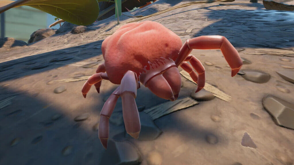 Grounded: Where to Find Mites Grounded Bug - Mite