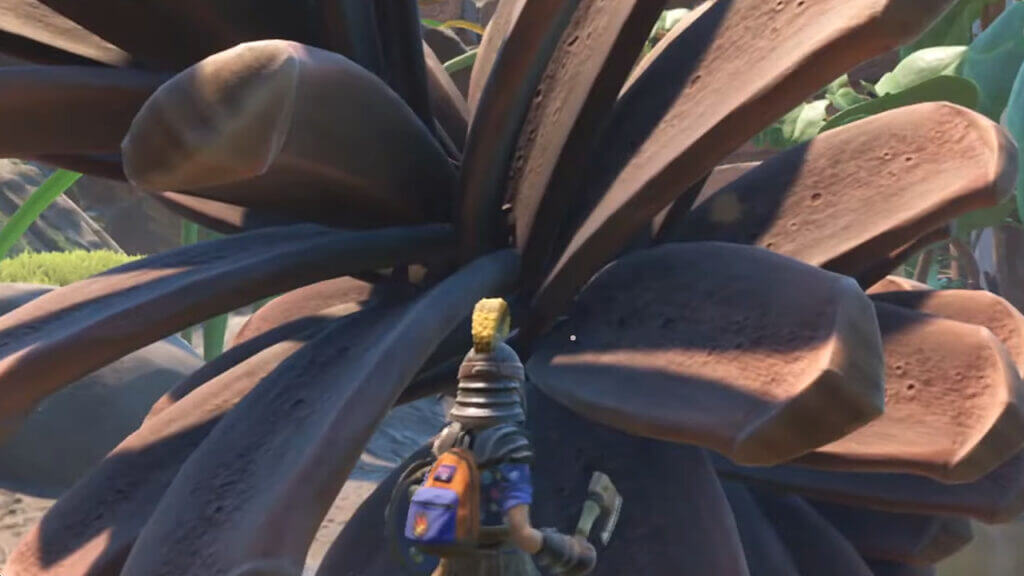 Grounded: Where to Find Pinecone Pieces Grounded Where to Find Pinecone Pieces