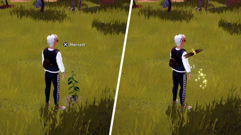 Harvesting Vanilla in Disney Dreamlight Valley