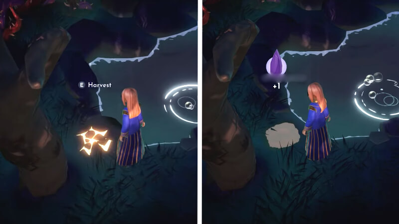 Harvesting the Gleaming Dusk Fragment in Disney Dreamlight Valley