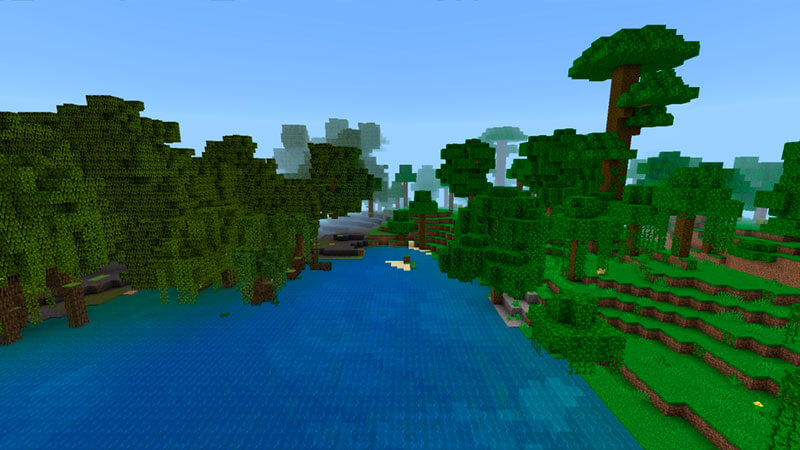 Minecraft Mangrove and Forest