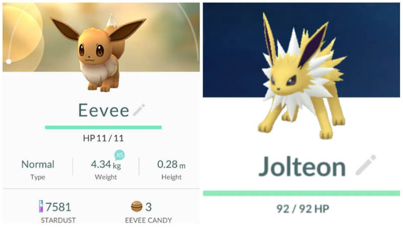 Eevee Evolutions Jolteon Shiny