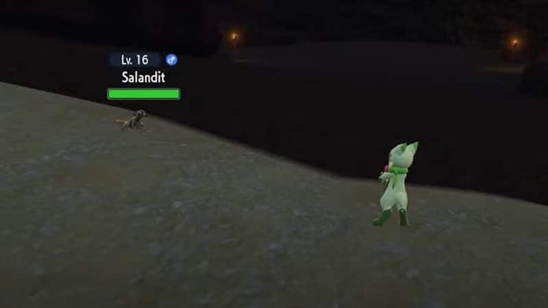 Evolve Salandit in Pokémon Scarlet and Violet