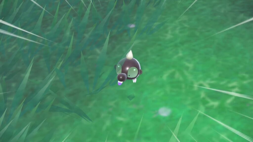 Where to Find & Catch Shroodle in Pokémon Scarlet and Violet