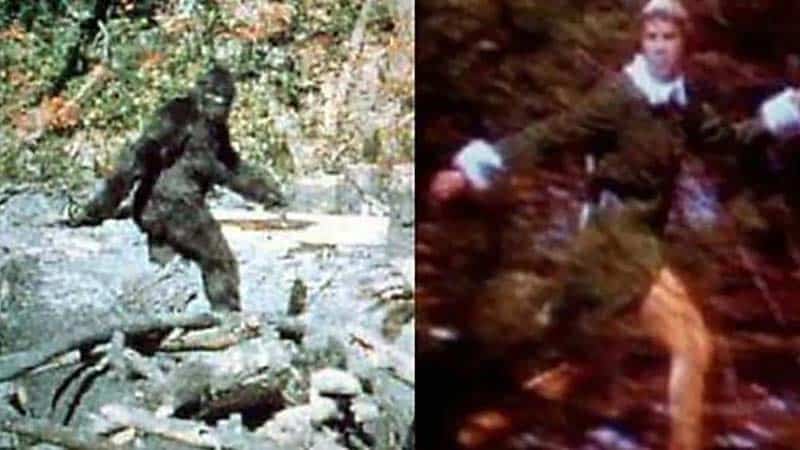 Elf: The 10 Funniest Scenes From The Holiday Film