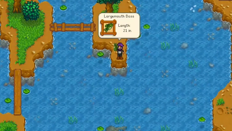 Catching Largemouth Bass Stardew Valley