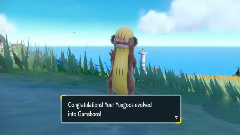 Pokémon Scarlet and Violet How to Evolve Yungoos into Gumshoos