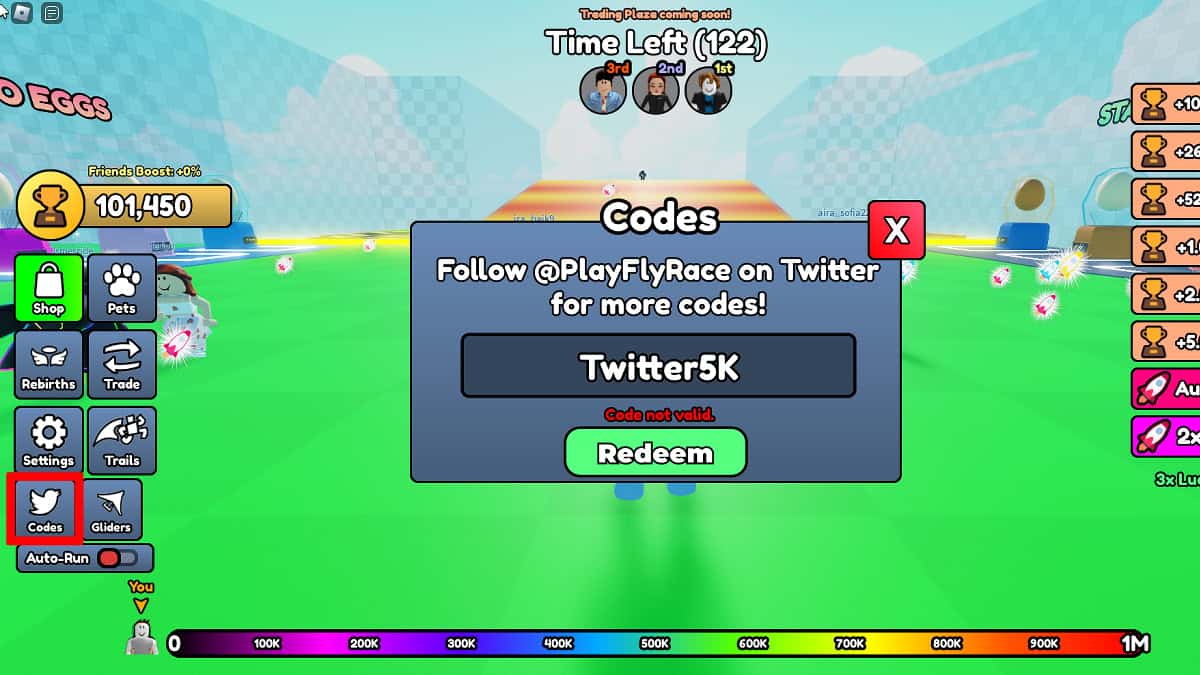 Redeeming codes in Roblox Fly Race.