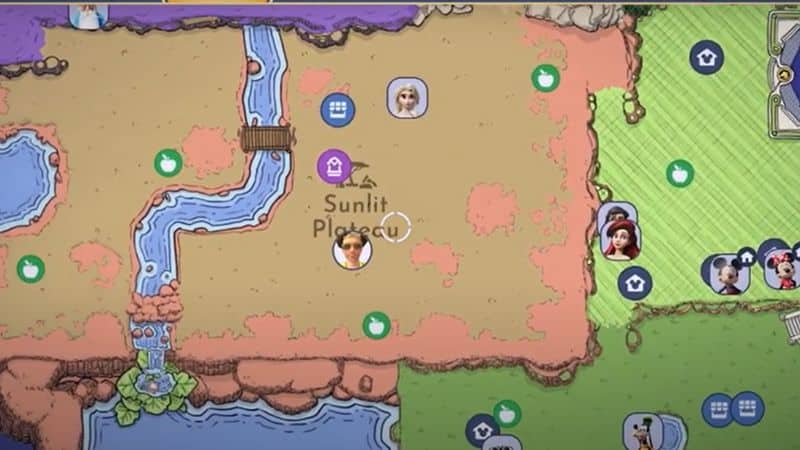 Pink Houseleek in Disney