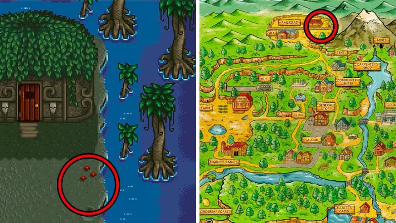 How to Catch a Void Salmon in Stardew Valley