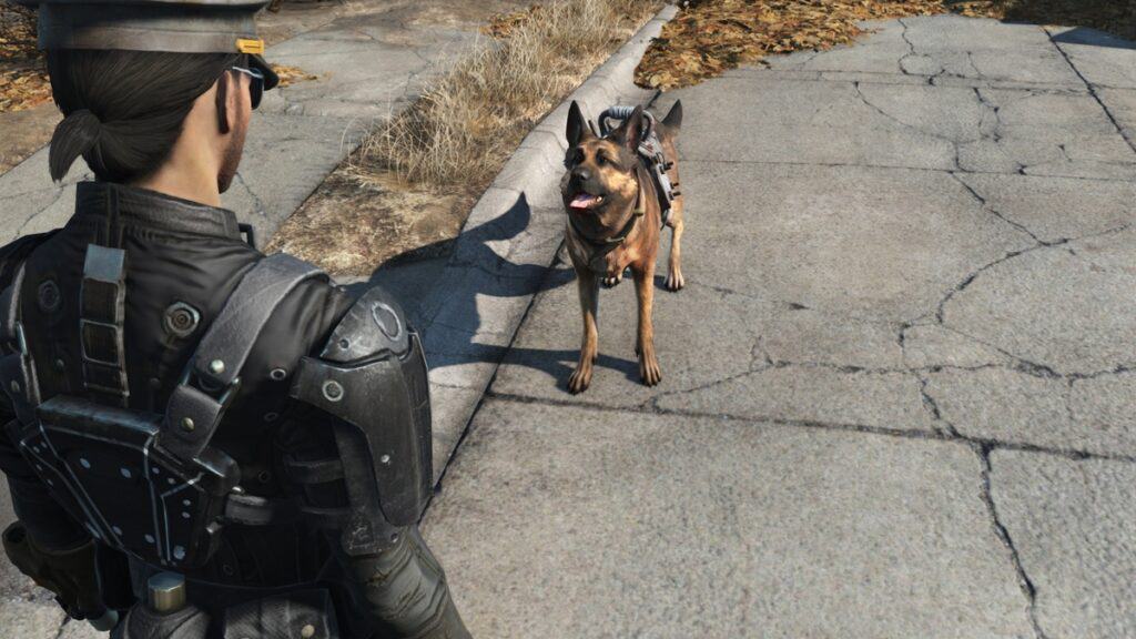 5 Best Ways to Use Dogmeat in Fallout 4 Dogmeat in Fallout 4