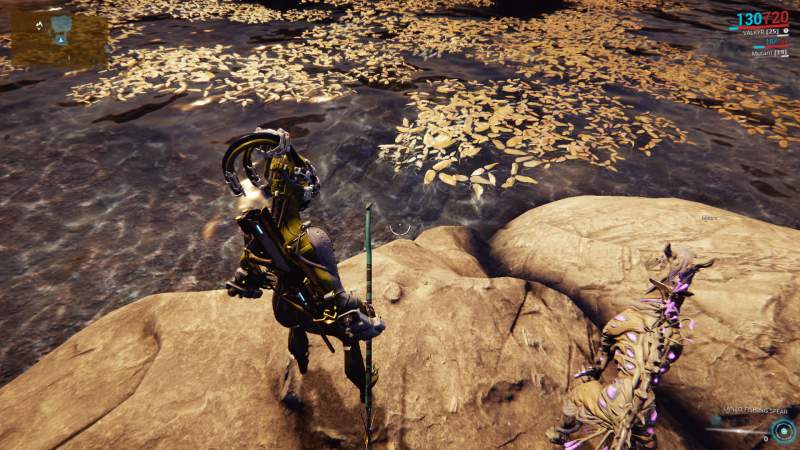 How to Catch Rare Fish on the Plains of Eidolon in Warframe