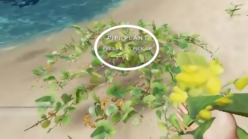 Finding a Pipi Plant In Stranded Deep