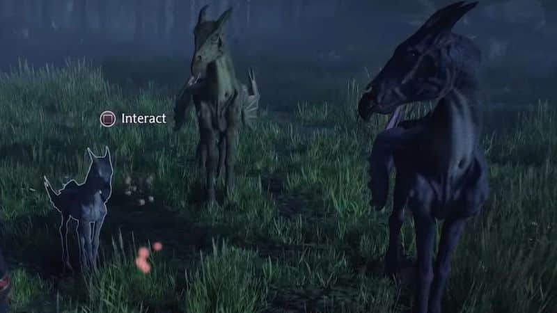 How to Get the Thestral Mount in Hogwarts Legacy