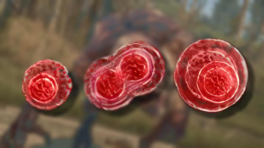 The Witcher 3: How To Get Red Mutagens Red Mutagens in The Witcher 3