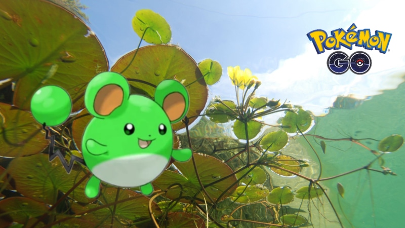 Shiny Marill in Pokemon Go