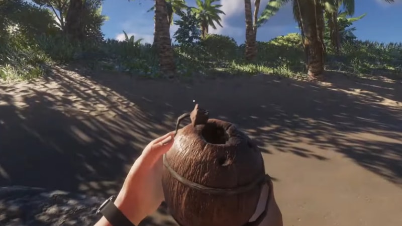 Walking around with A Coconut Flask in Stranded Deep
