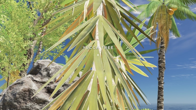Yucca Tree Stranded Deep