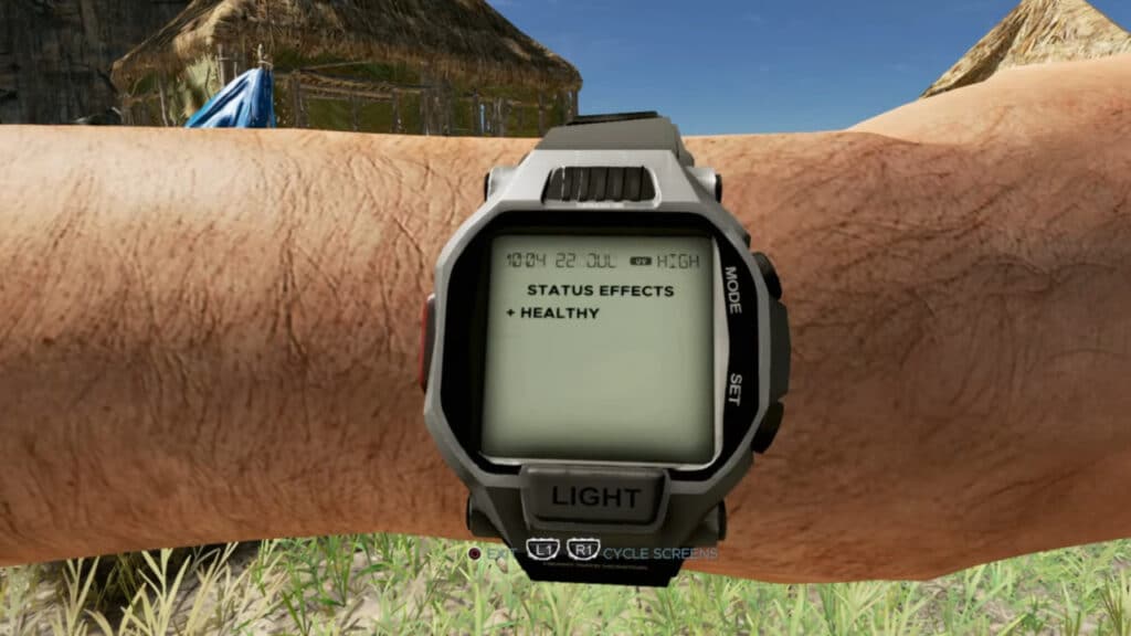 How to Heal in Stranded Deep how-to-heal-in-stranded-deep