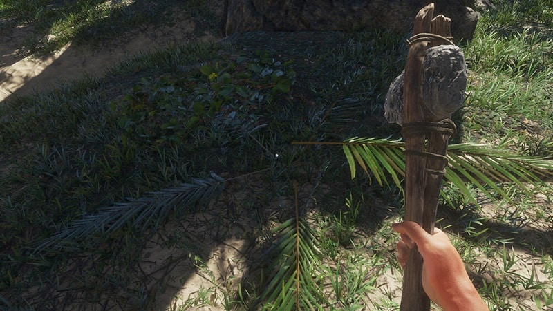 How to Get Palm Frond in Stranded Deep