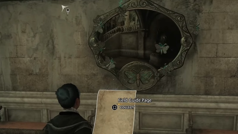 Bringing the Moth back to its Painting in Hogwarts Legacy Image Sourced from RIOT GEAR GAMING