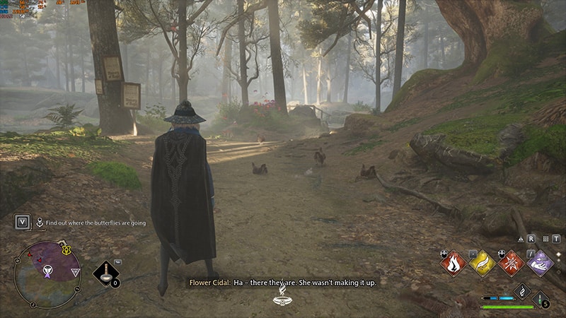 Hogwarts Legacy: How to Complete Follow The Butterflies Quest