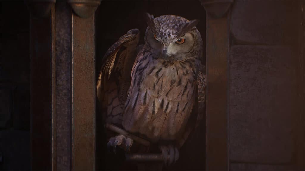Can-You-Become-Animagus-in-Hogwarts-Legacy