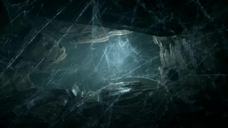 turning off spiders in Hogwarts Legacy