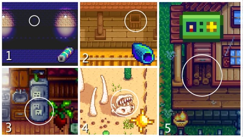 Completing Mysterious Qi Quest Steps in Stardew Valley