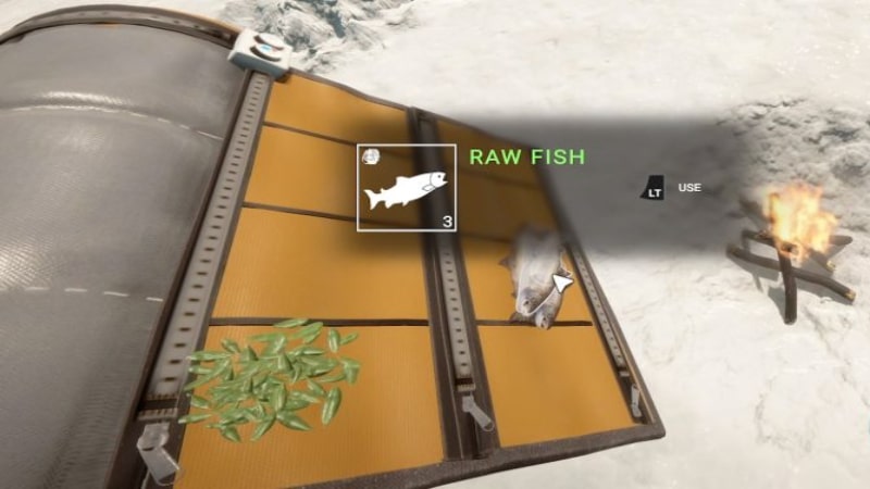 Fish in Sons of the Forest