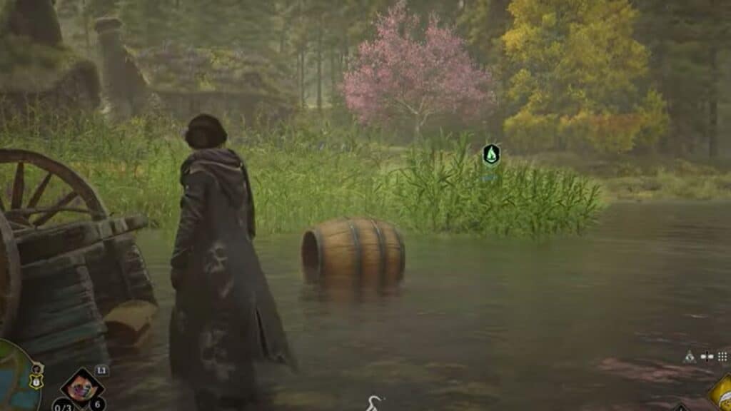 Hogwarts Legacy: All Collection Chests in South Hogwarts Region Hogwarts Legacy Collection Chests