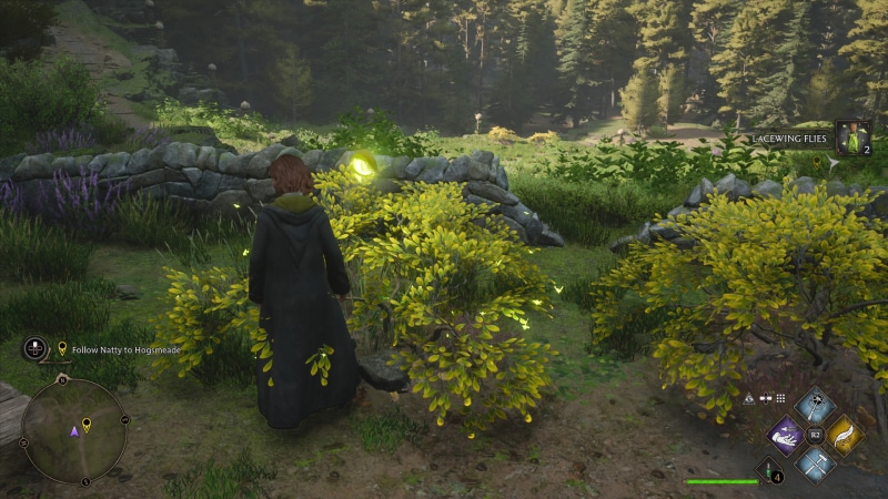 Hogwarts Legacy Lacewing Flies Location