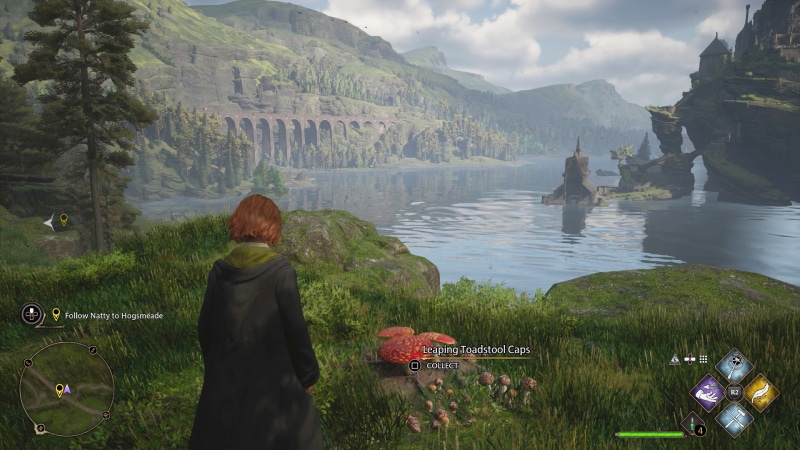 Hogwarts Legacy Leaping Toadstool Caps Location