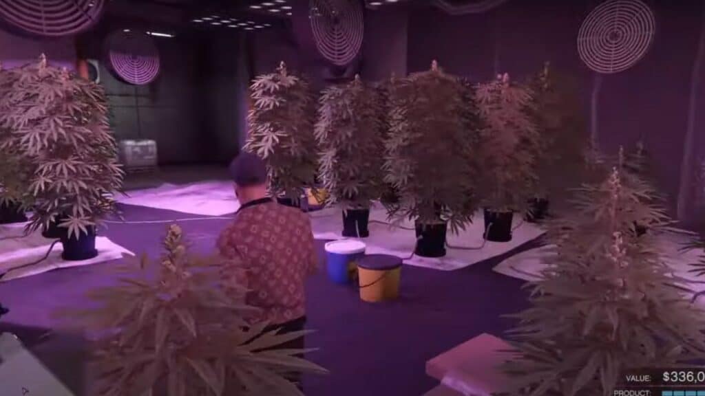 How To Buy A Weed Farm in GTA Online How To Buy A Weed Farm in GTA Online