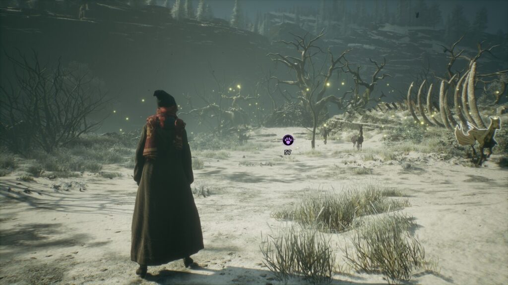 How to Breed Beasts in Hogwarts Legacy How to Breed Beasts in Hogwarts Legacy Feature