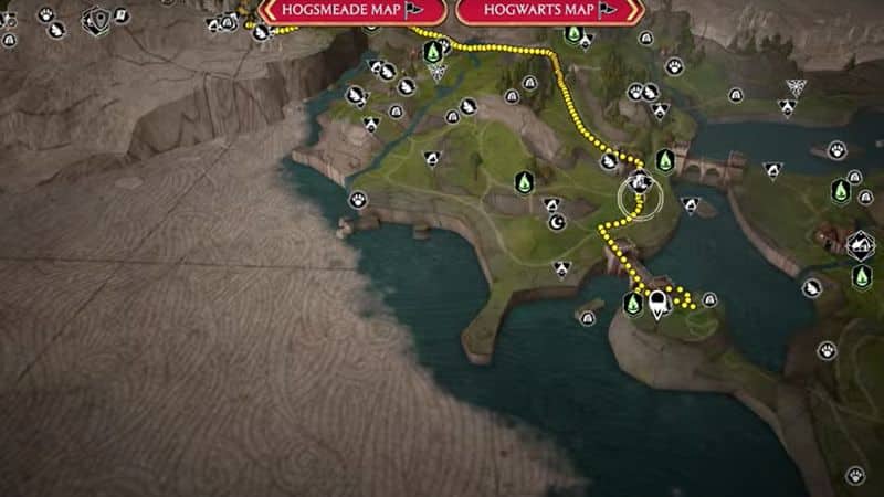 Portrait in a Pickle in Hogwarts Legacy