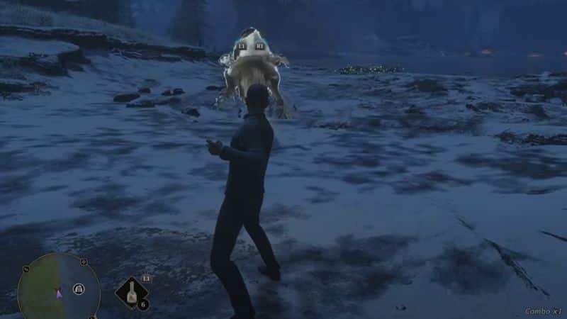 Dugbog in Hogwarts Legacy