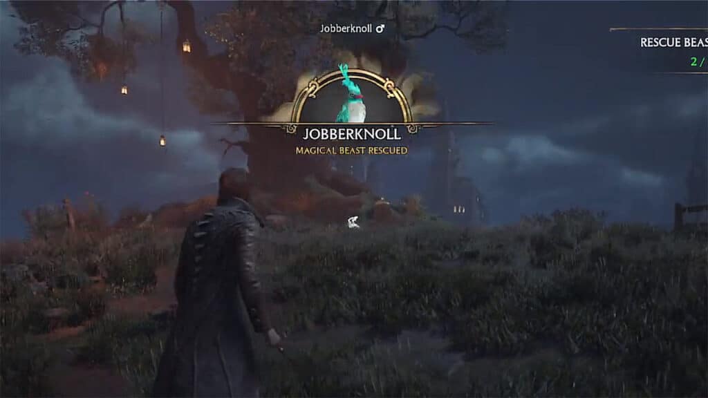 How-to-Get-a-Jobberknoll-in-Hogwarts-Legacy