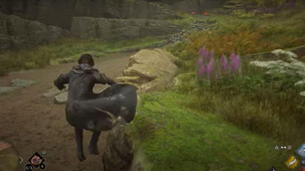 How To Jump in Hogwarts Legacy How to Jump in Hogwarts Legacy